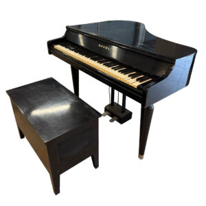 Pianoforte elettrico