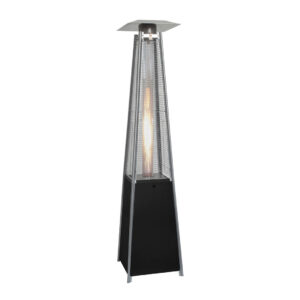 Fungo Piramide nero