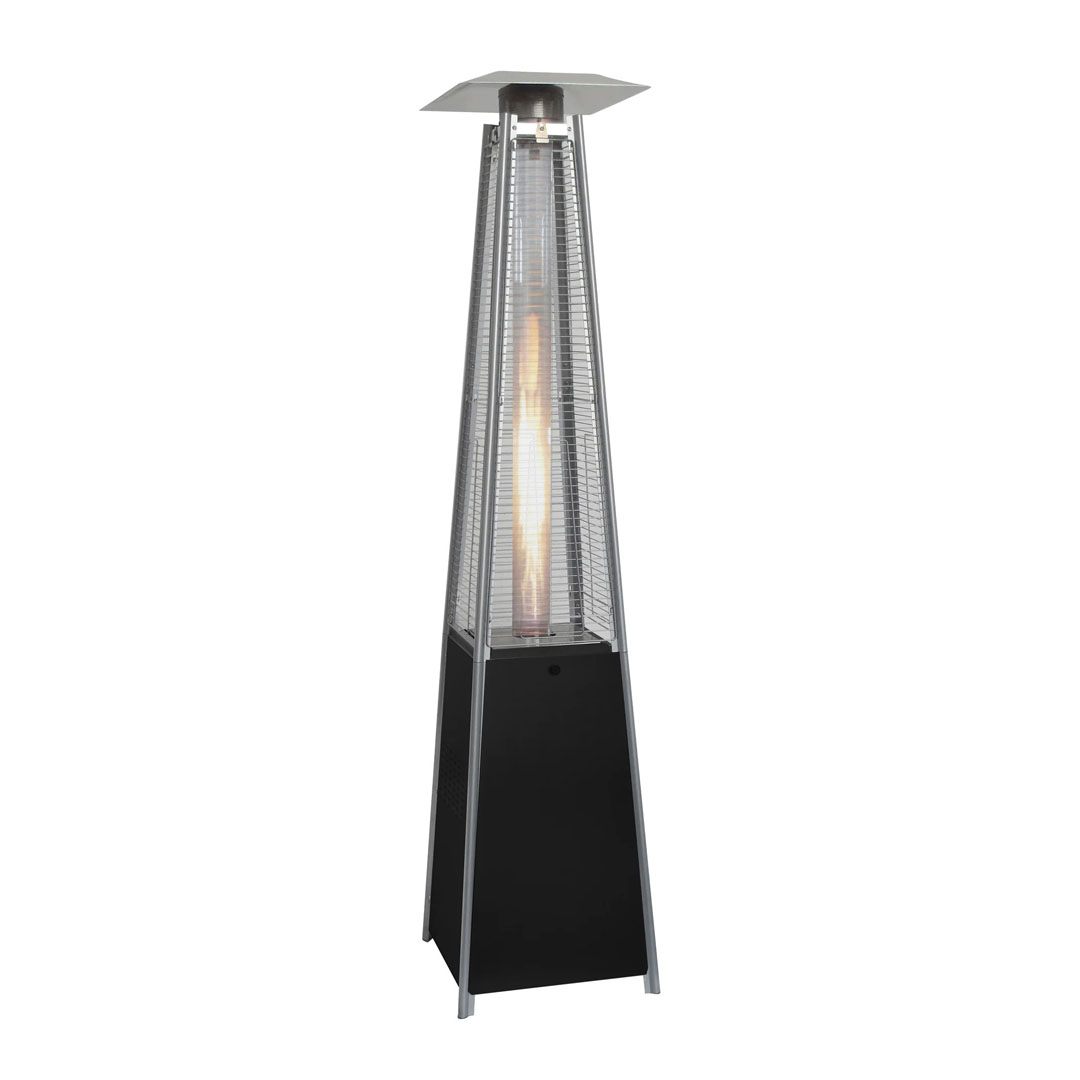 Fungo Piramide nero