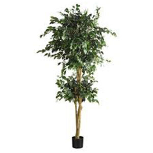Pianta artificiale Benjamin Ficus variegato 2 sfere