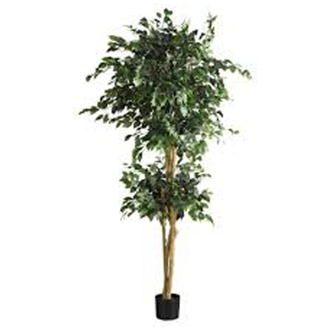 Pianta artificiale Benjamin Ficus variegato 2 sfere
