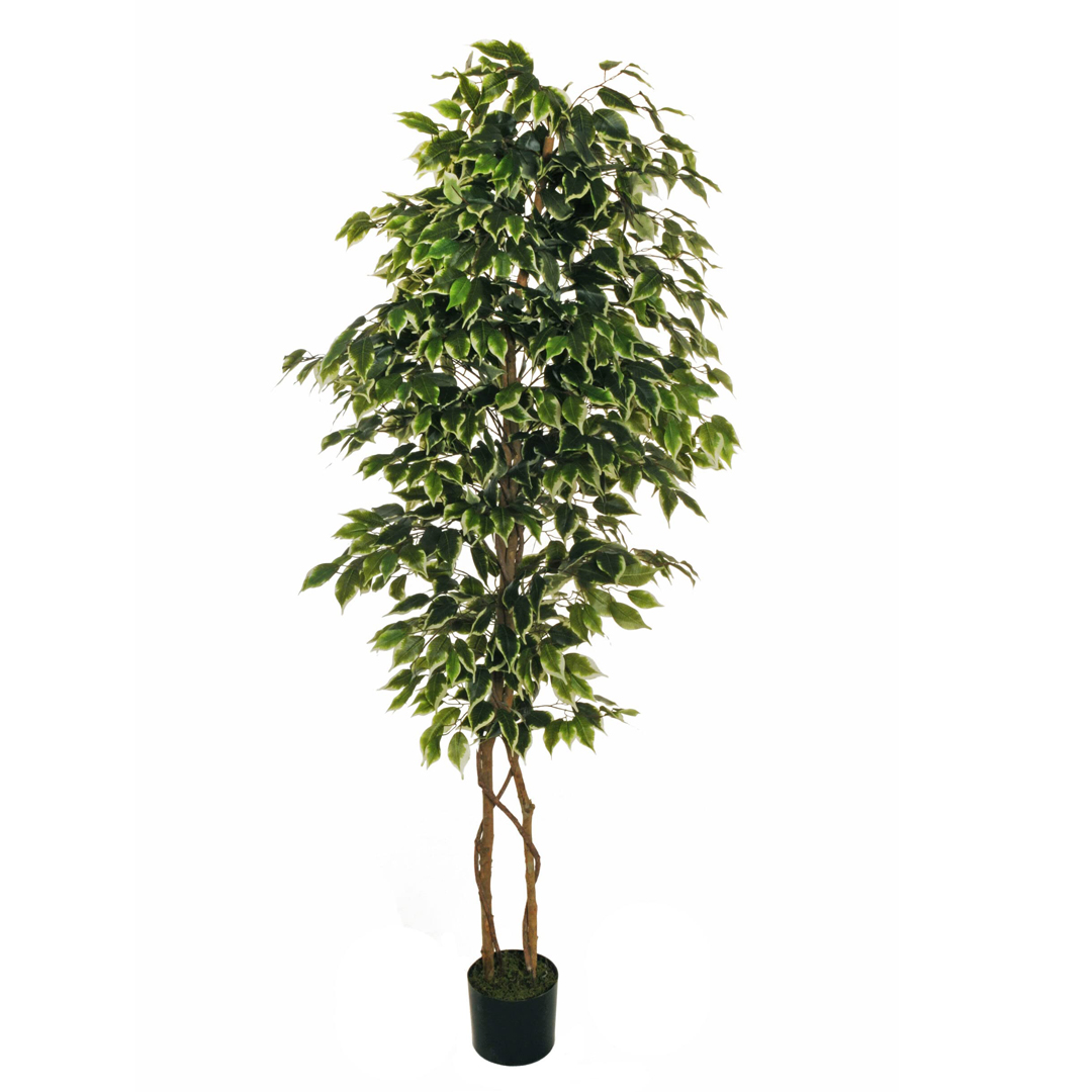 Pianta artif Benjamin Ficus medium variegato