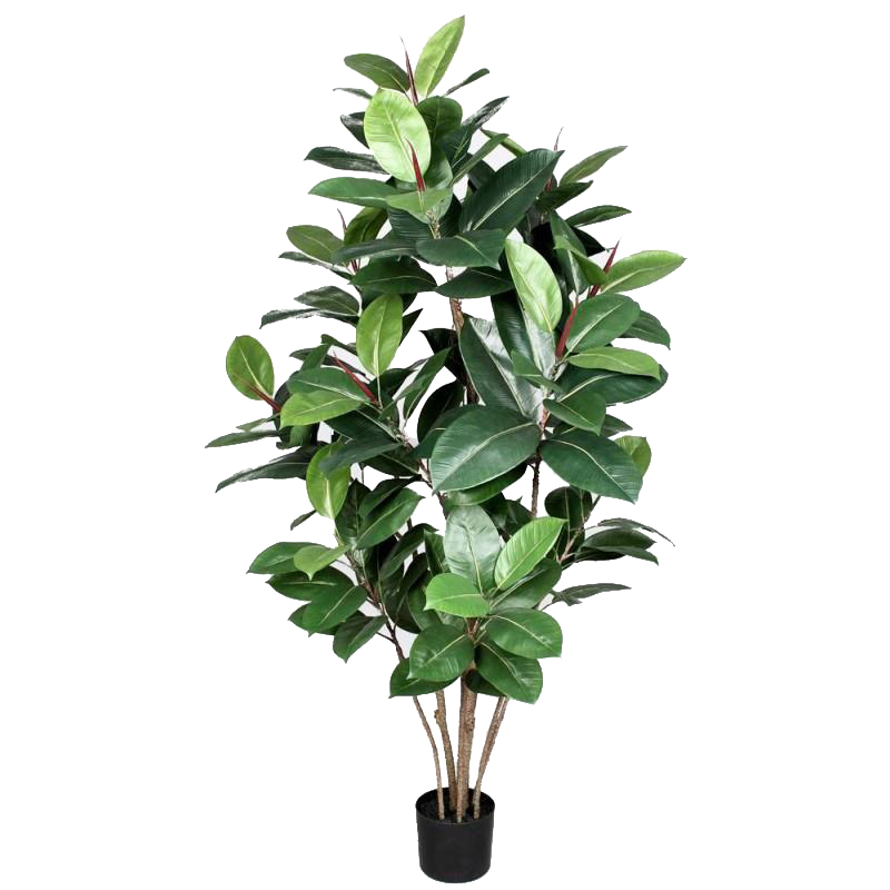 Pianta artificiale Ficus Elastica 150