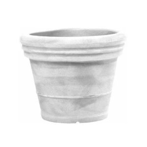 Vaso Anticotto
